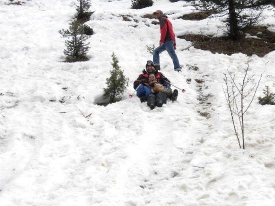 Paradise of Kashmir - Image 3